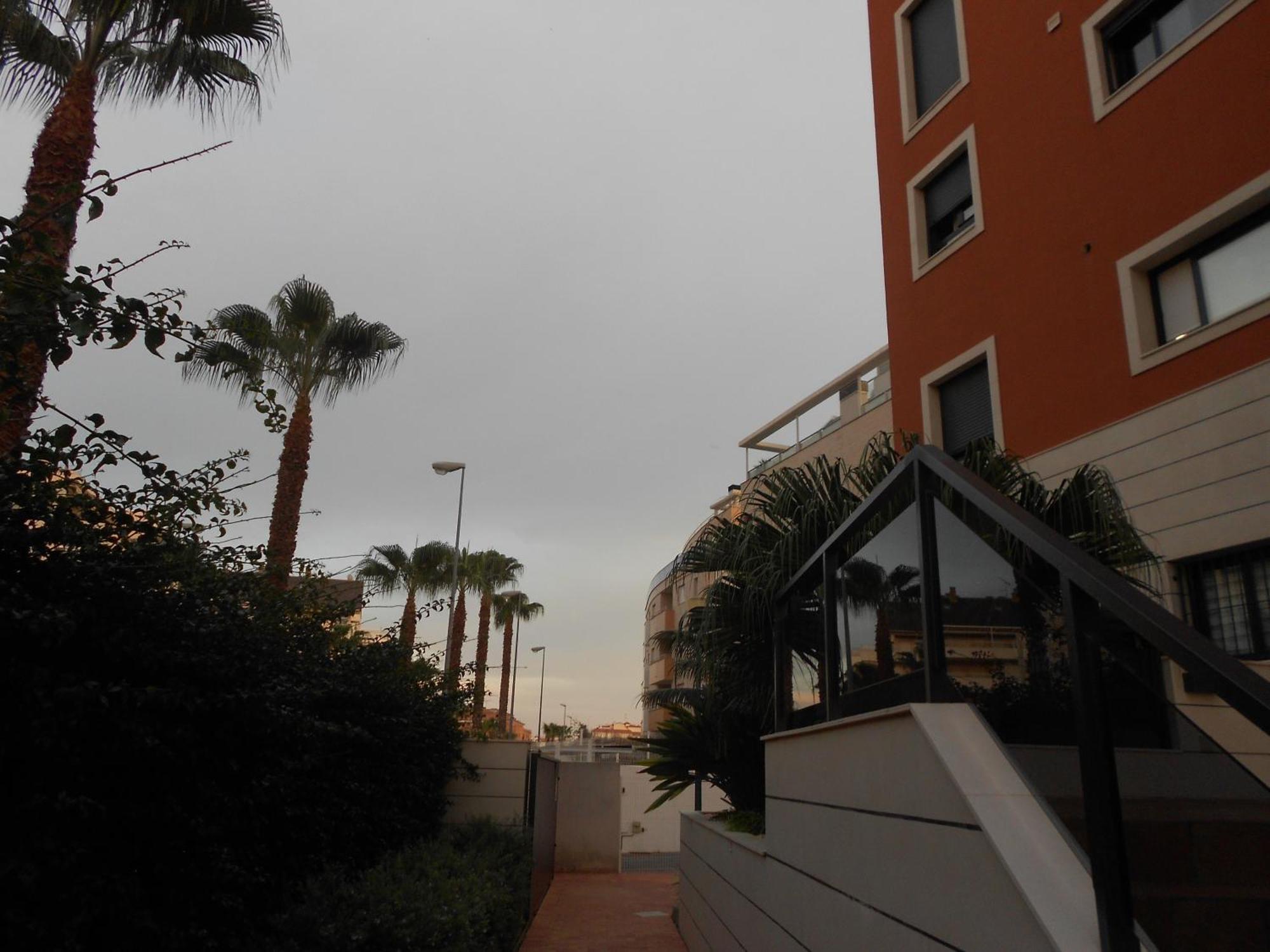 Jardinas De Les Marinas Daire Denia Oda fotoğraf